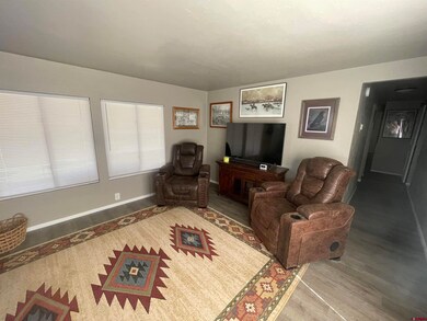 51570 Hwy 491, Cahone, CO 81320 - photo 5