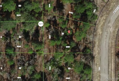 1947 W Skyline Dr, Pine Ridge, FL 34434 - photo 2