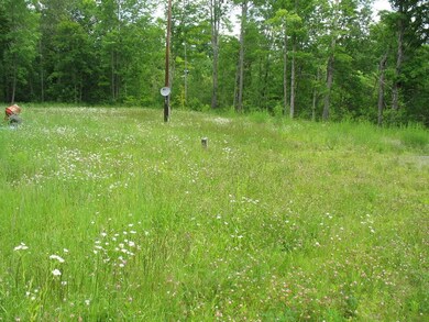 184 Lawrence St, Dover-Foxcroft, ME 04426 - photo 3