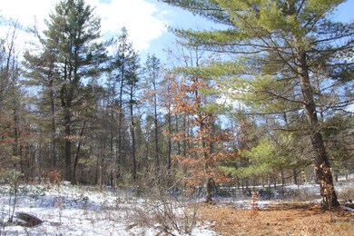 Sunnylake Glennie Michigan