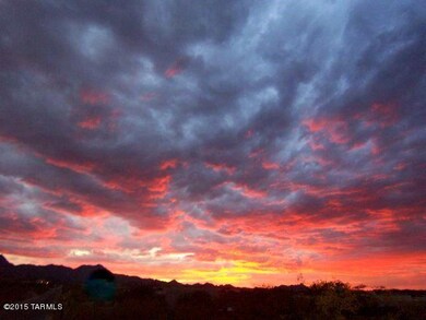 1-Backyard sunset