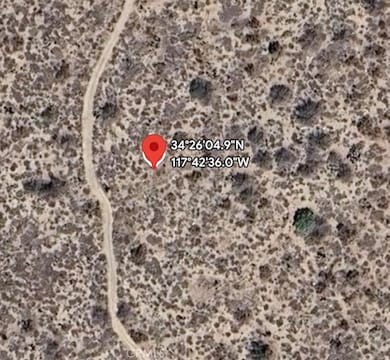 14 233rd, Llano, CA 93544 - photo 2