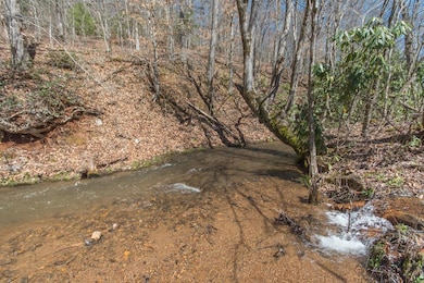 2586 Ruby Mine Rd, Franklin, NC 28734 - photo 2