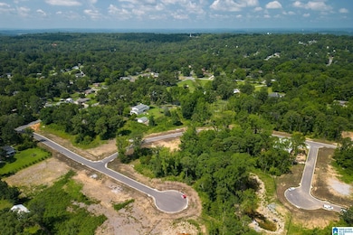 3349 Chandler Way, Hoover, AL 35226 - photo 4