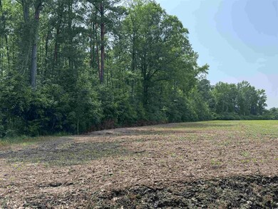 View of wooded area