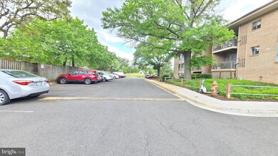 3706 N Rosser St unit T3, Alexandria, VA 22311 - photo 5