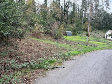 389 Circle Dr, Angwin, CA 94508 - photo 5