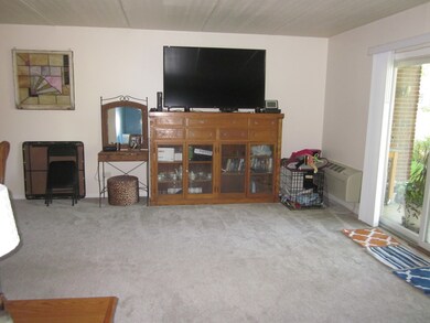 111 Jefferson St unit J, Algonquin, IL 60102 - photo 2