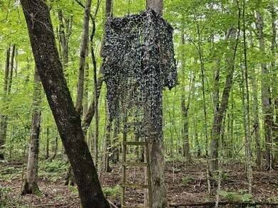 ON Aspen Ln, Phillips, WI 54555 - photo 7