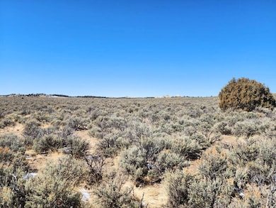 Co Rd 389, Regina, NM 87046 - photo 6