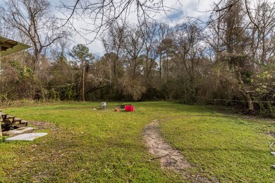 Back Yard 1