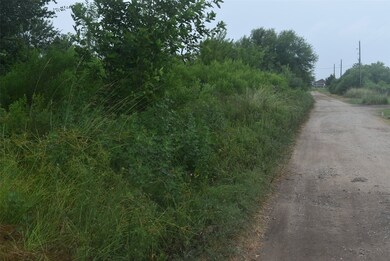 1302 Chapman Rd, Beasley, TX 77417 - photo 4