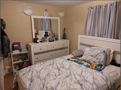 33 Paragon Rd unit 2, West Roxbury, MA 02132 - photo 6