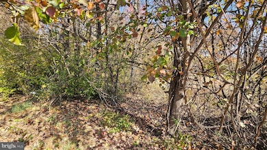 309 Cattail Passage Ct, Severna Park, MD 21146 - photo 5