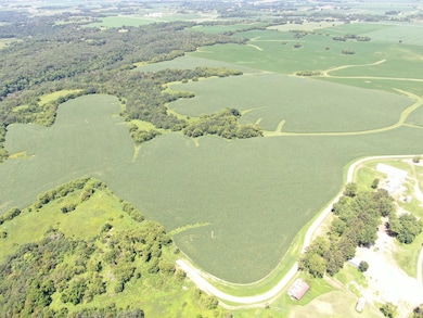 tbd 70th St SE, Viola, MN 55934 - photo 4