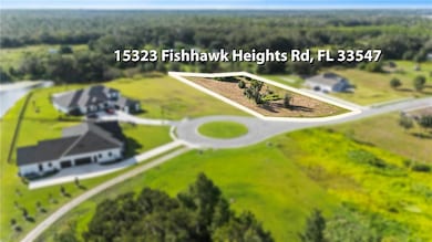 15323 Fishhawk Heights Run, Lithia, FL 33547 - photo 3