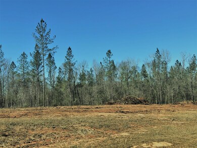 1.11ac Pineview Rd, Lucedale, MS 39452 - photo 3