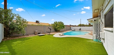 Backyard3