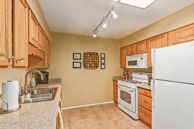 13612 N 110th Ave, Sun City, AZ 85351 - photo 7