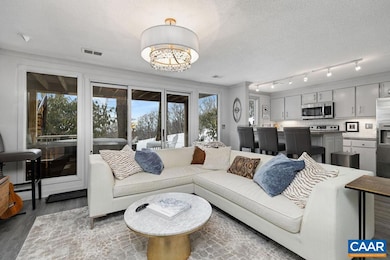 113 Eagles Ct Condos, Wintergreen Resort, VA 22967 - photo 3