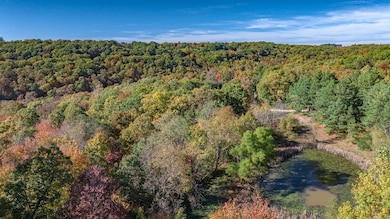 14159 Low Gap Wc 100 Rd, West Fork, AR 72774 - photo 6