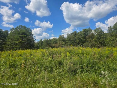 0 Us Highway 27, Sunbright, TN 37872 - photo 5