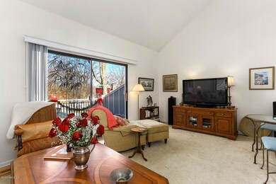 104 Silo Cir unit 104, Riverside, CT 06878 - photo 7