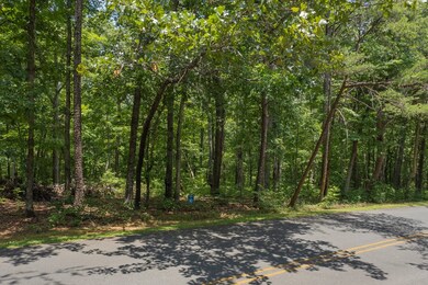 LT 80 Doll Mountain Rd, Ellijay, GA 30540 - photo 5