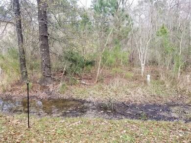 00 Briarcliff St, Conroe, TX 77385 - photo 3