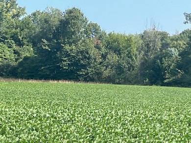 0 Wilson Rd unit B, New Buffalo, MI 49117 - photo 3