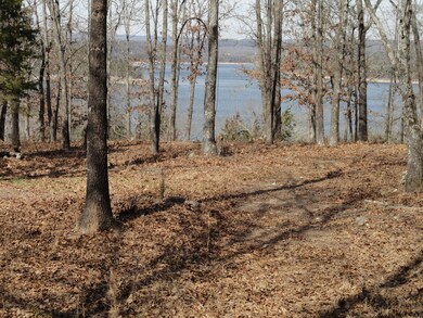 Lot 25 Lake Cottage Ln, Williams Township, MO 65747 - photo 2