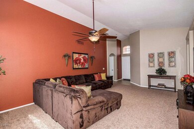Smoke Tree (9)