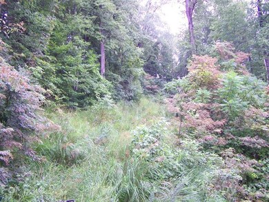 Drive & Home Site Area