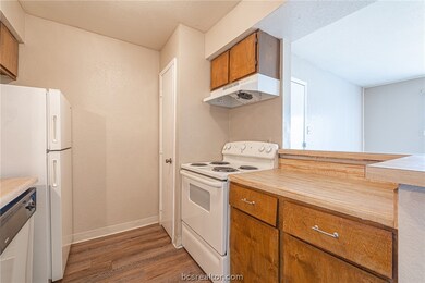 Cripple Creek Condos unit 9, College Station, TX 77840 - photo 7