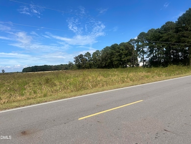 900 Marler Rd, Benson, NC 27504 - photo 2