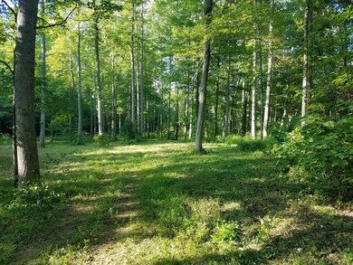 A view of the inner meadow.