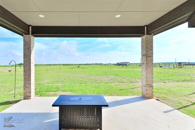 13100 County Road 232, Abilene, TX 79602 - photo 6