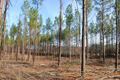 Mollie Mooney Tract 6 Pic1