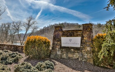 161 Old Toccoa Farm, Mineral Bluff, GA 30559 - photo 2