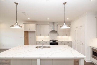 Huge Kitchen island, built in pantry concept, brand new home, new construction - Come see us! Pictures represent a previously built home, not the actual home.