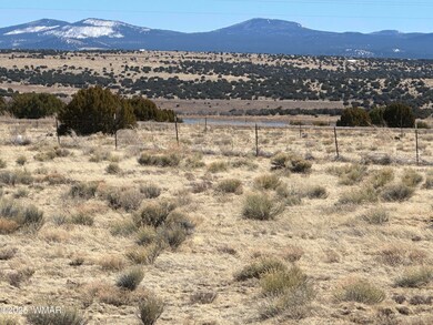 0 Lot 185 Lakeview Ranch Unit 4 unit 255032, Concho, AZ 85924 - photo 3