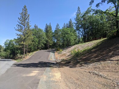 2 Eden Forest Dr, Colfax, CA 95713 - photo 4