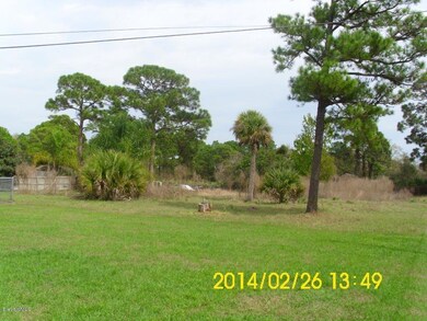 Back Yard (2)