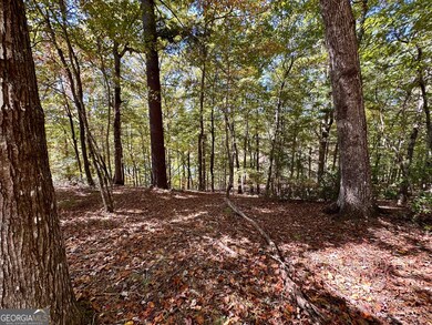 0 Forked Leaf Rd unit 29 10594626, Cleveland, GA 30528 - photo 3