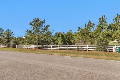 18482 Gary Player Dr, Montgomery, TX 77316 - photo 6