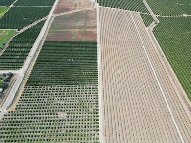 21998 E Weldon Ave, Sanger, CA 93657 - photo 4