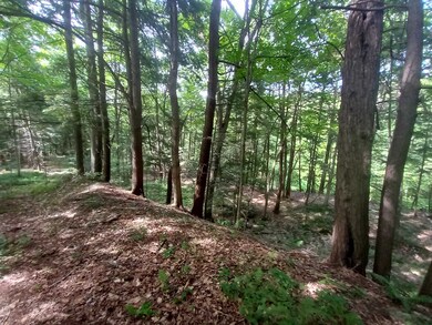 000 Wheeler Rand Rd, Charlestown, NH 03603 - photo 2