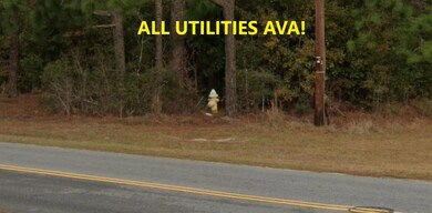 0 N Palmetto St unit 25031892, Summerville, SC 29483 - photo 7