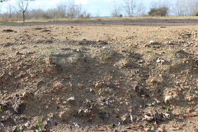 0 County Road 962c unit 87784596, Alvin, TX 77511 - photo 4