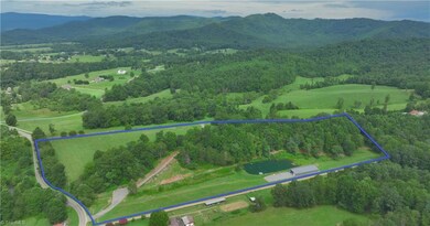 2558 Old Highway 60, Purlear, NC 28665 - photo 4